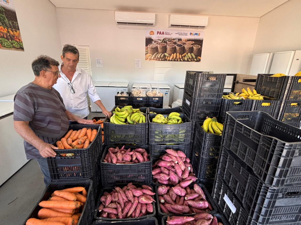 SEGURANÇA ALIMENTAR ][ Palmas distribui 460 cestas do PAA e apoia produtores